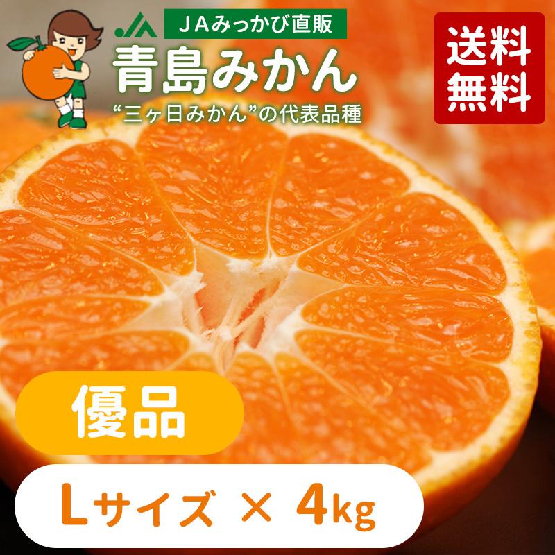 みかん 青島みかん 優品 Lサイズ 4kg 【年明け発送：2026年1月5日〜2月