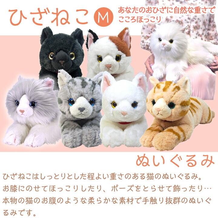 ひざねこ M オッドアイ WH ぬいぐるみ ペット用品 猫用品 オーナー
