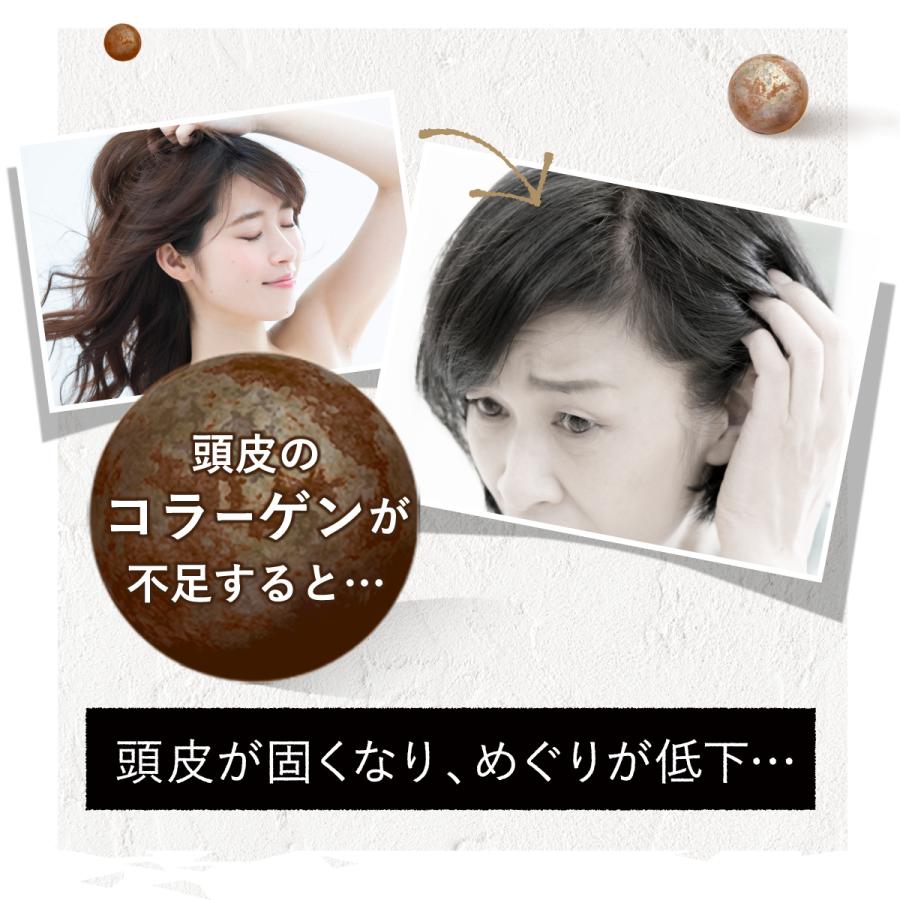 シャンプー 詰め替え パウチ【公式】 ノ・アルフレ あすなろわかさ