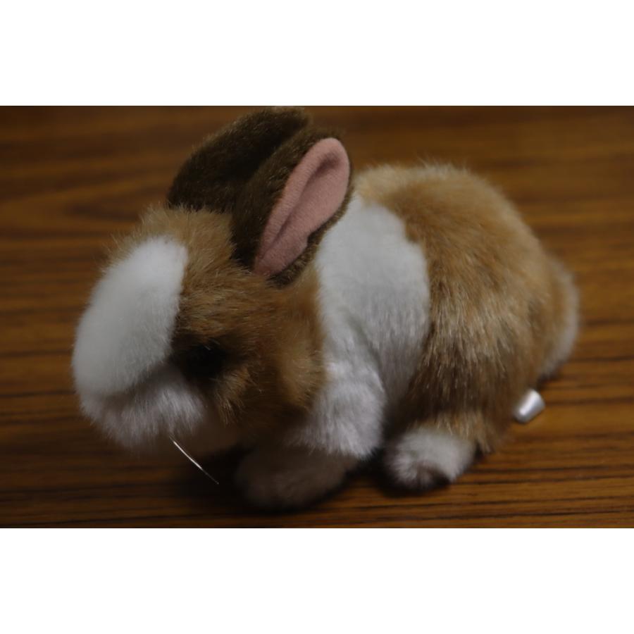 EOS Canon キヤノン 200D II ダブルズームキット 新品SD32GB付き Kiss