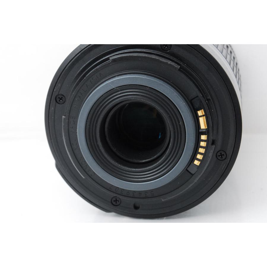 EF-S Canon キヤノン 55-250mm F4-5.6 IS 手ぶれ補正付き : 山ウサギ