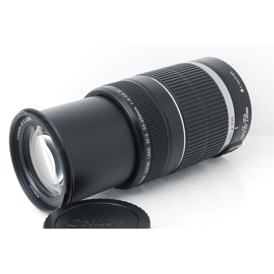 EF-S Canon キヤノン 55-250mm F4-5.6 IS 手ぶれ補正付き : 山ウサギ