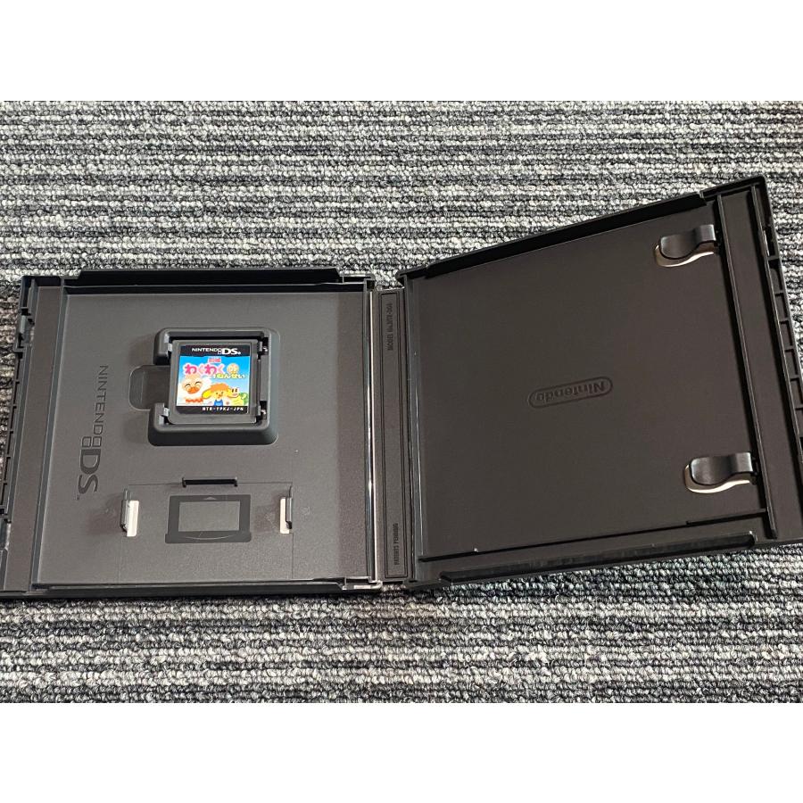 任天堂（Nintendo） DS ソフト わくわくDS 1年生 ケース 付き : マイ