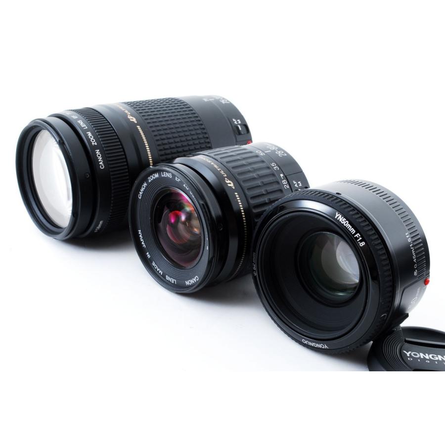 キヤノン（Canon） Canon EOS 6D Mark II 標準&超望遠＆単焦点トリプル