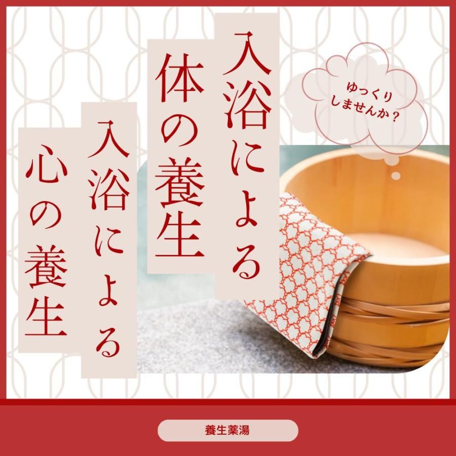 薬用入浴剤 養生薬湯 薬用入浴液 5包 腰痛 神経痛 リウマチ 肩こり
