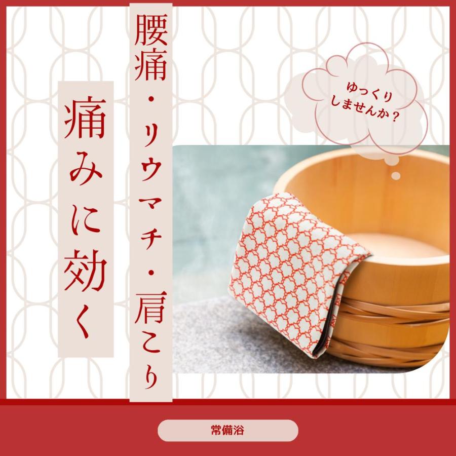 常備浴 富山常備薬 立山ブルーの湯色 ヒノキの香り 大容量400mL(20回分