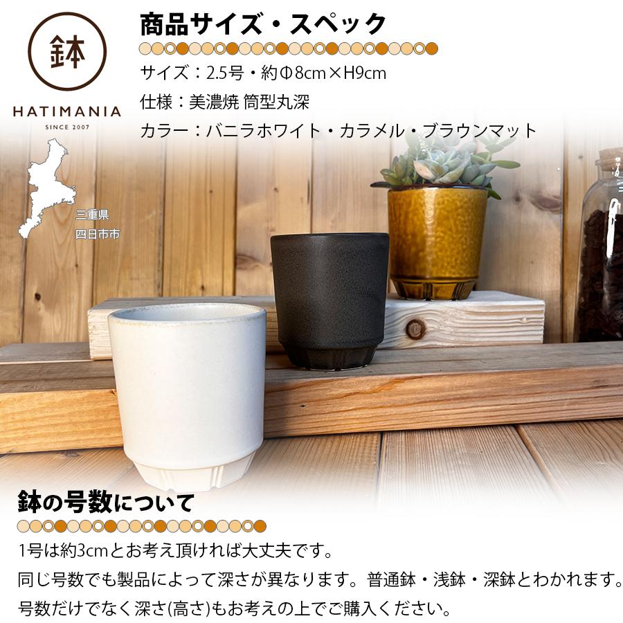 HATIMANIA 鉢マニア 筒型丸深鉢 2.5号 盆栽鉢 日本製 美濃焼 水が抜け