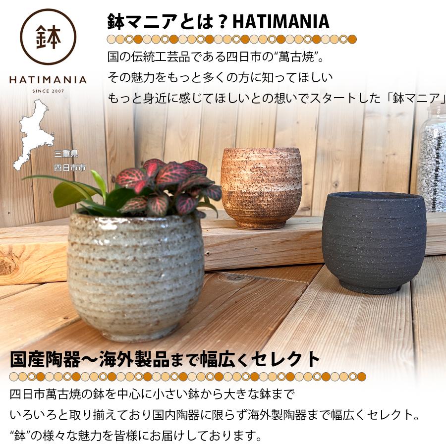 HATIMANIA 鉢マニア タイコ鉢 3号 日本製 盆栽鉢 水が抜けやすい 陶器