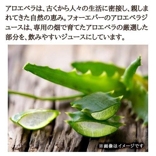 FLP アロエベラジュース 1000ml ×6本 賞味期限2027年11月 : ベスト