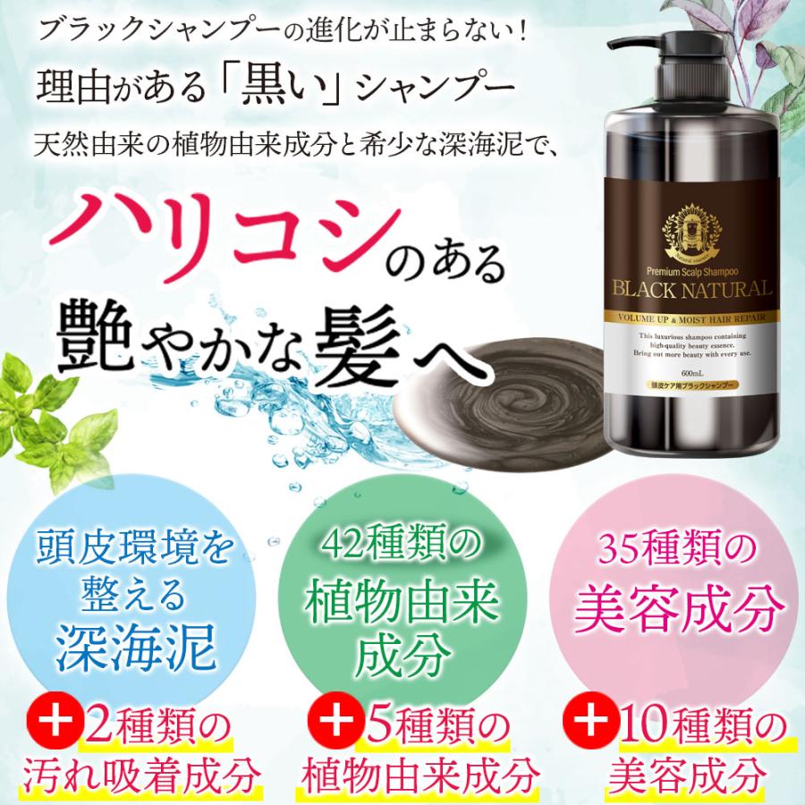 Black Care ブラック・ナチュラルシャンプー 600ml 1本 ブラック