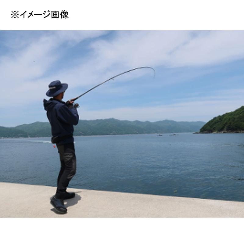 DAIWA（ダイワ） シーバスロッド LATEO(ラテオ) 93MB・K(ベイト・2