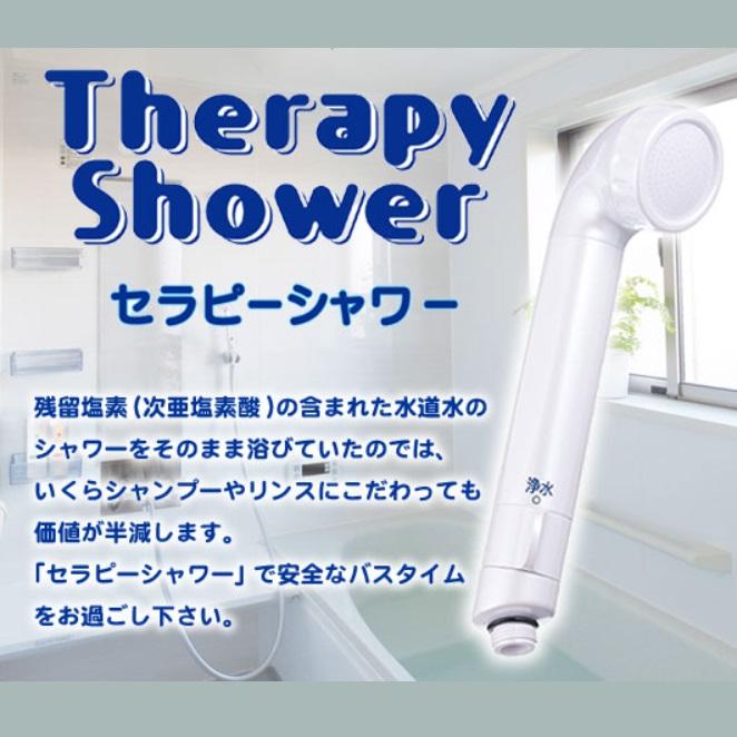 フリーサイエンス 正規代理店【Newデザイン】セラピーシャワー 1台