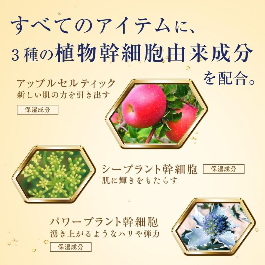 LITS（リッツ） 化粧水 リバイバル セラム ローション 150ml | 植物