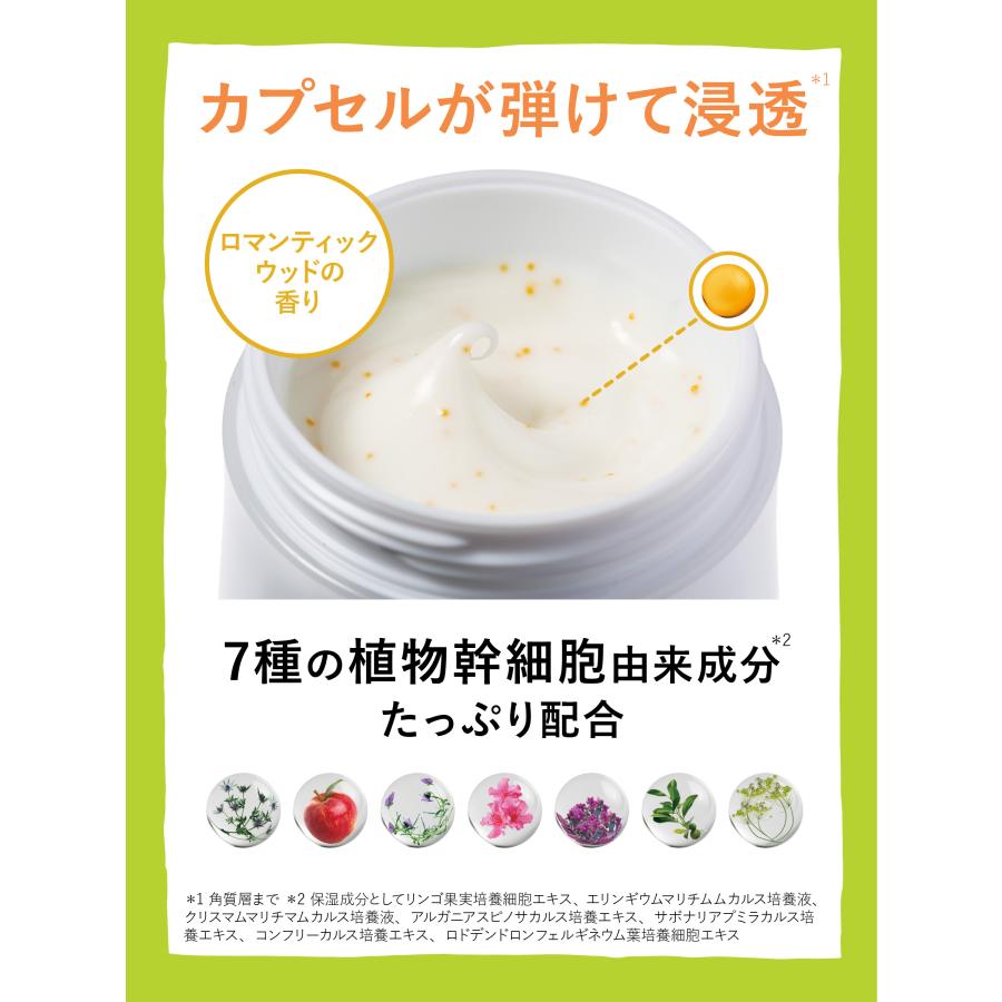 LITS（リッツ） リバイバル ステム7 詰め替え 美容クリーム 50g | 植物