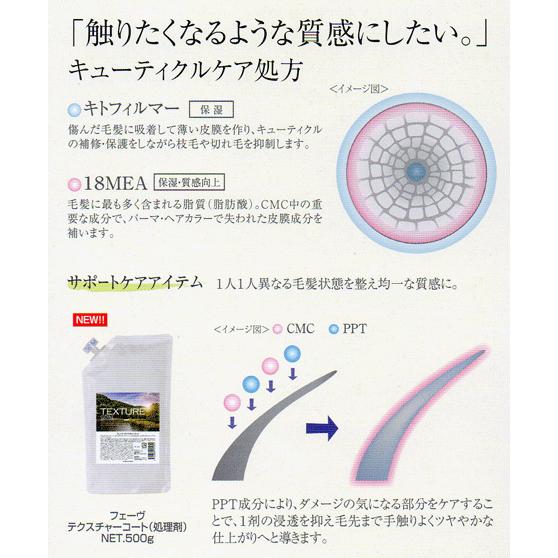 ナプラ フェーブ テクスチャーコート 500g : ナチュレア - 通販