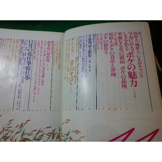 □園芸ガイド 花と緑の情報誌 昭和53年11月号 主婦の友社