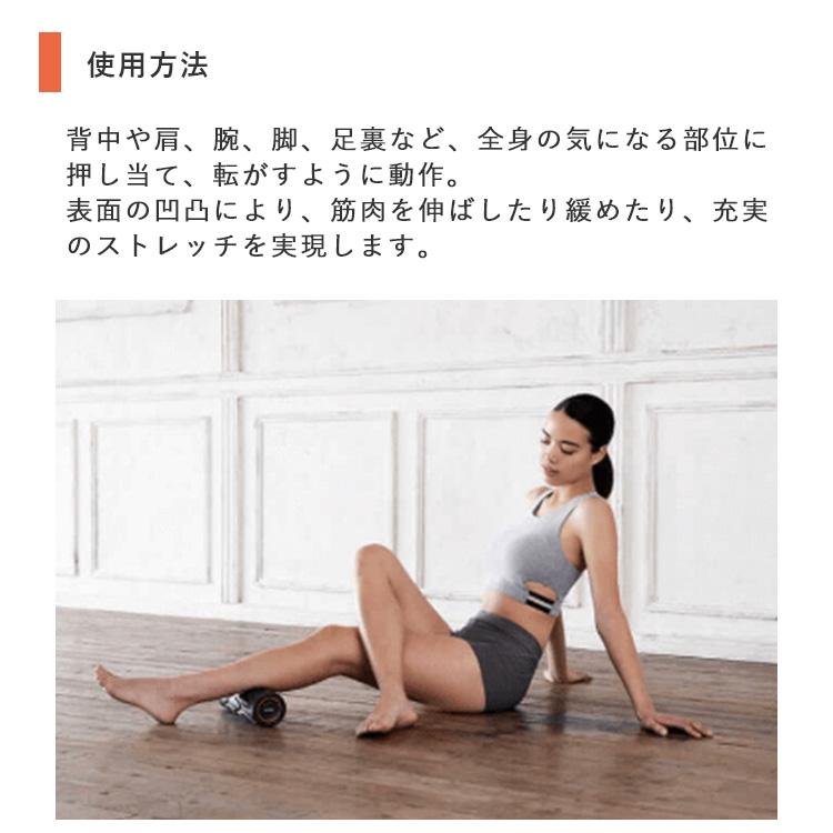 SIXPAD パワーローラーS パワーローラーエス Power Roller S