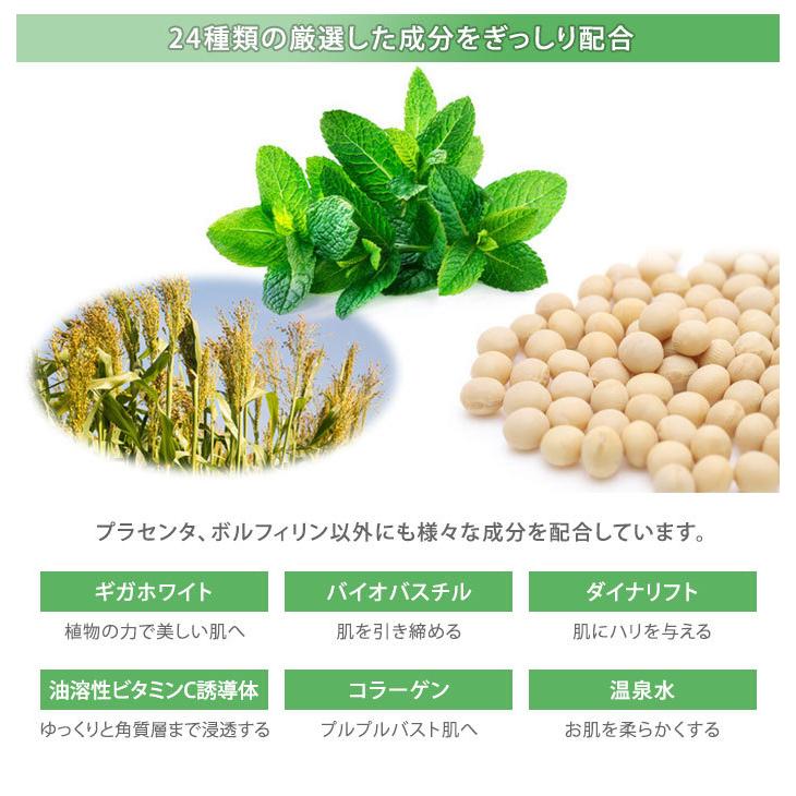 2本セット ボルセンタ バストクリーム 100g VOLCENTA BODY's Pro(DM