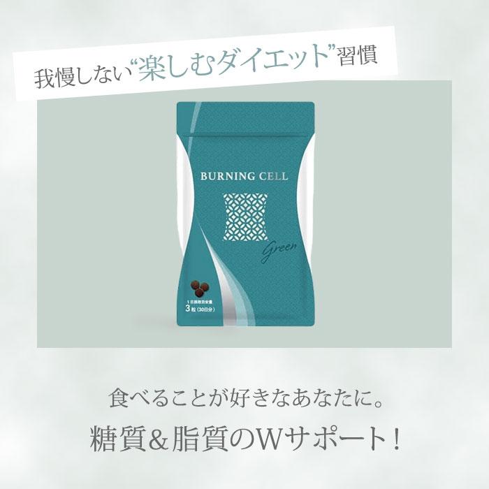 HANMI バーニングセル グリーン 90粒入 ハンミ 漢方サプリ 漢方 サプリ