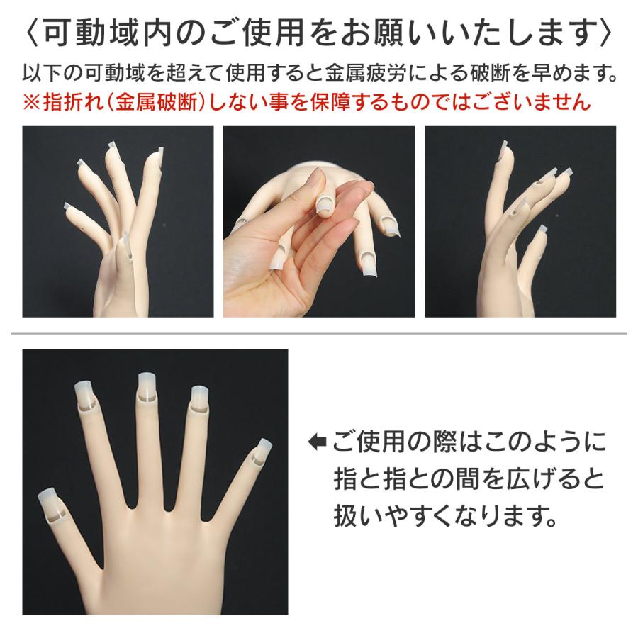 取り寄せ】STモデルハンド セット（JNEC認定モデルハンド