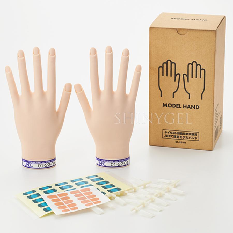 取り寄せ】STモデルハンド セット（JNEC認定モデルハンド