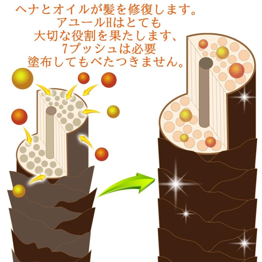 初めてのソジャットヘナに挑戦セット : NAOSHO - 通販 - Yahoo