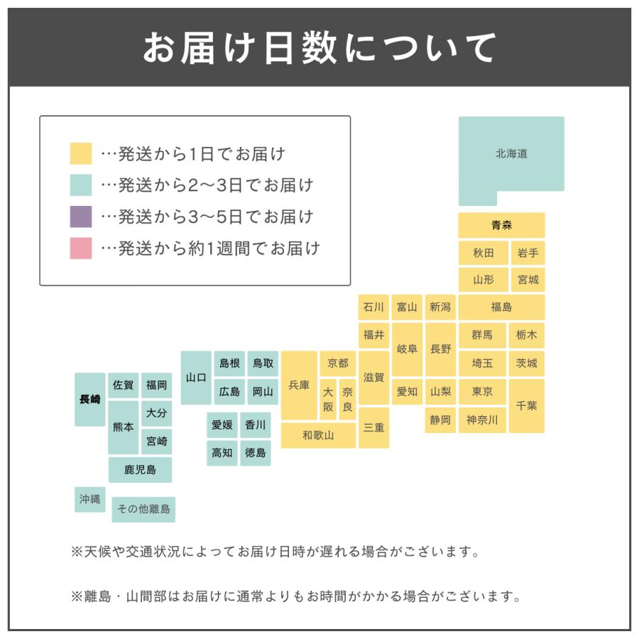 Nintendo Switch amiibo+カード とびだせどうぶつの森 amiiboプラス