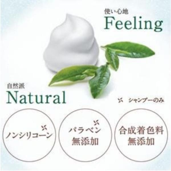 ティモテ ピュア クレンジングシャンプー ポンプ 500g : nextwind