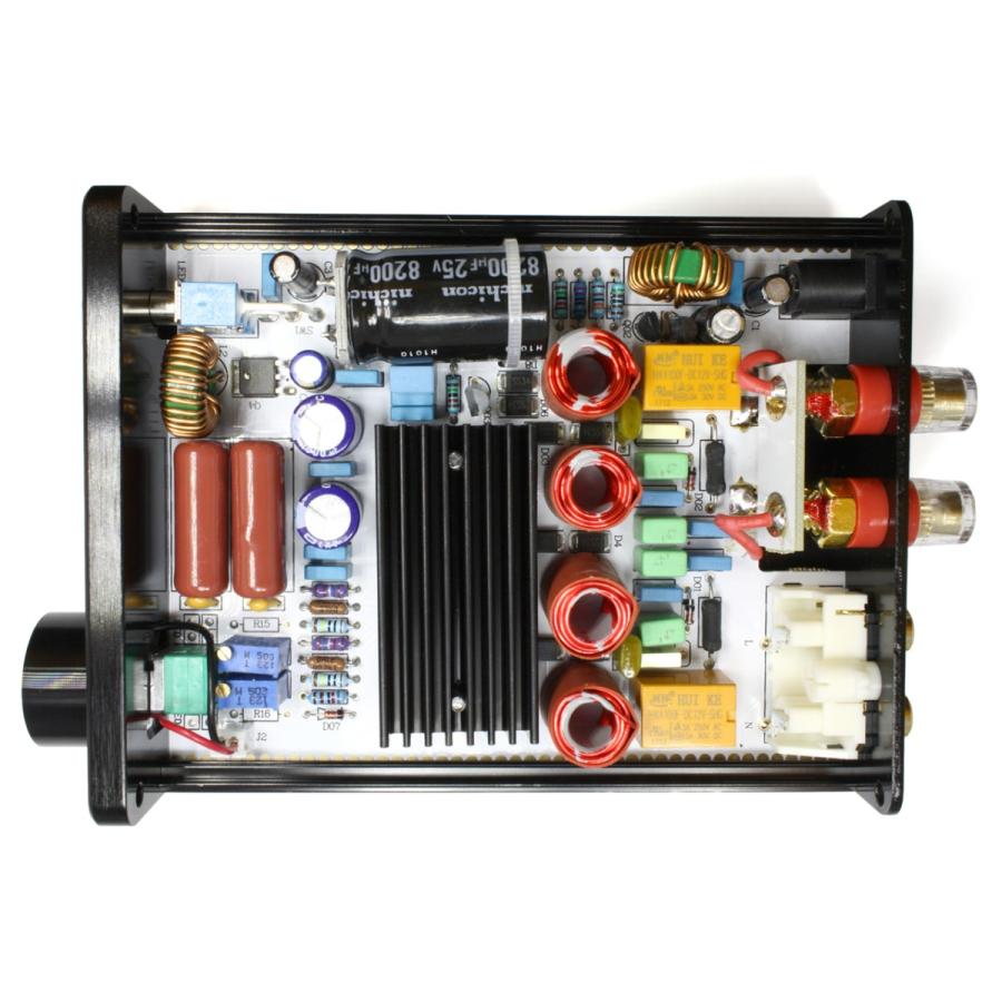 FX AUDIO FX-AUDIO- FX202J『ブラック』TA2020搭載 D級小型デジタル