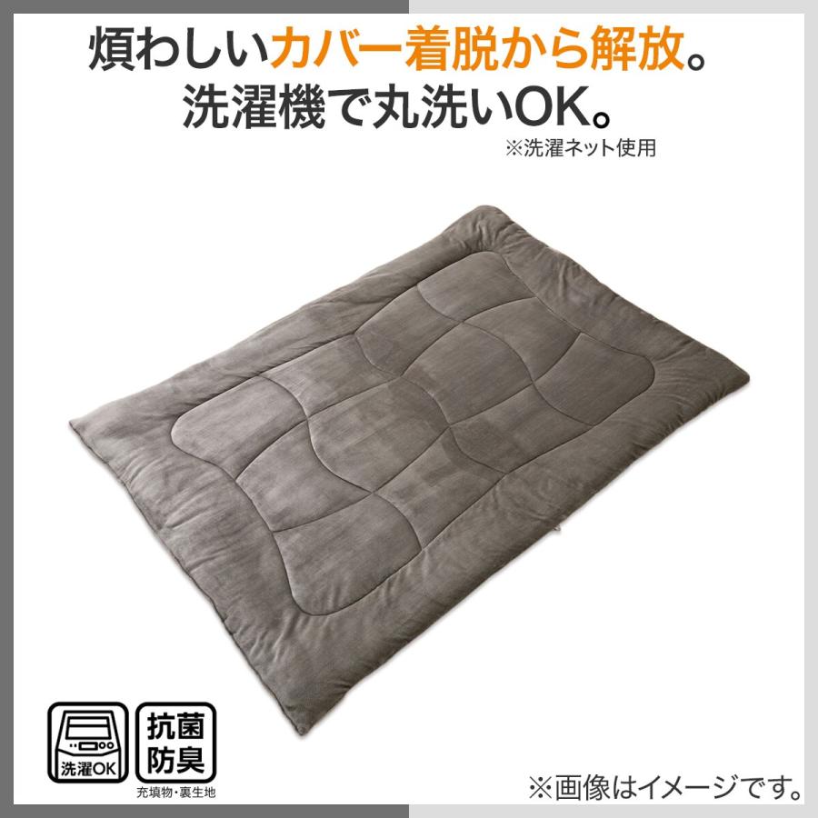 ニトリ（NITORI） カバーのいらない両面掛ふとん セミダブル(Nウォーム