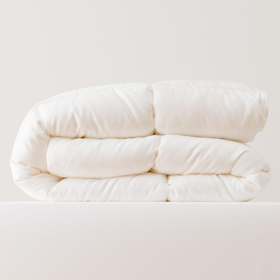 ニトリ（NITORI） ホテルスタイル掛ふとん クイーン(Nホテル