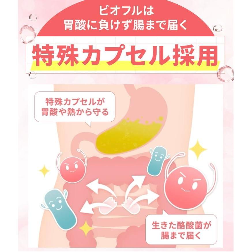 ビオフル BIOFULL 31粒 短鎖脂肪酸 酪酸菌 乳酸菌 ビフィズス菌