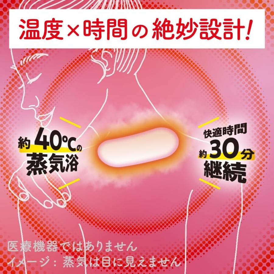 めぐりズム 蒸気めぐる首もとシート グッドナイト 無香料 12枚 (外箱