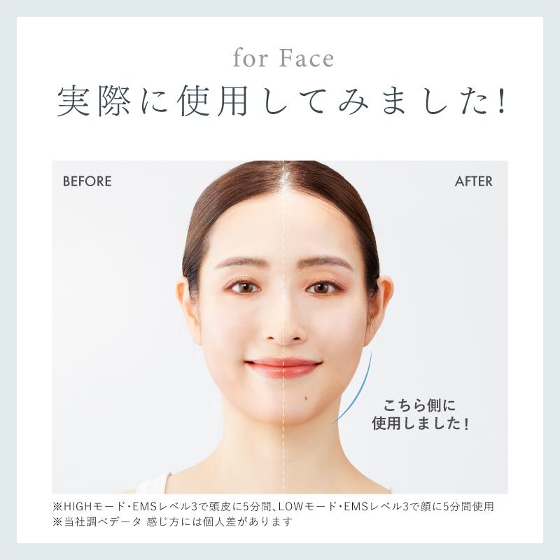 NIPLUX EMS美顔リフトケアで使うたび美しく 電気ブラシ リフトケア