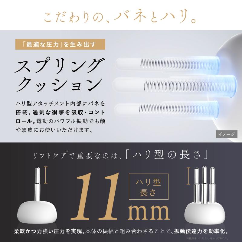 NIPLUX リフトケア特化のマッサージガン BEGUN ビガン 美顔器 フェイス