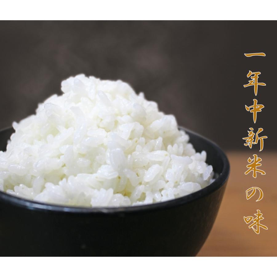 ALINCO（アルインコ） 米びつクーラー 保冷米びつ 保冷 米びつ 冷蔵