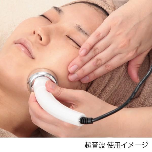 3機能 美顔器 NF-330 NF-402 部品 ポイントケア用超音波プローブ 21988