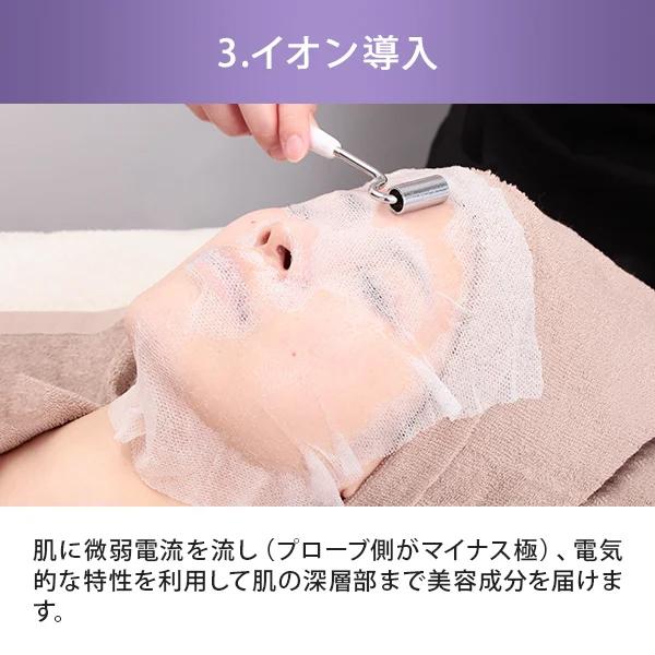 マルチ美顔器 PRO F-302 スクラバー イオン導入 導出 超音波 美容家電