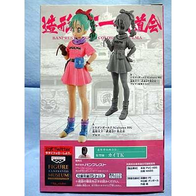 ドラゴンボールZ SCultures BIG 造形天下一武道会7 其之五 全2種