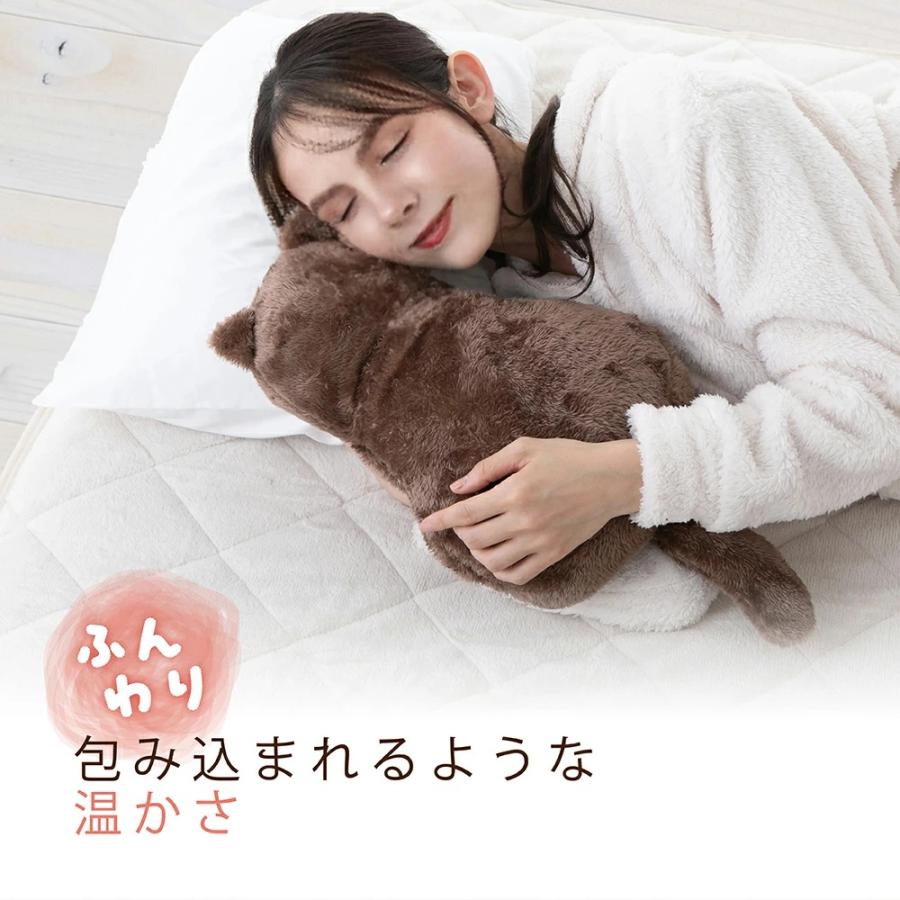 蓄熱式湯たんぽ POKANYAN ぽかにゃん コードレス 15分蓄熱 最大19時間