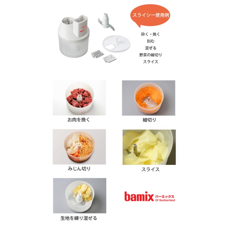 bamix（バーミックス） M300 プラス （ハンディフードプロセッサー