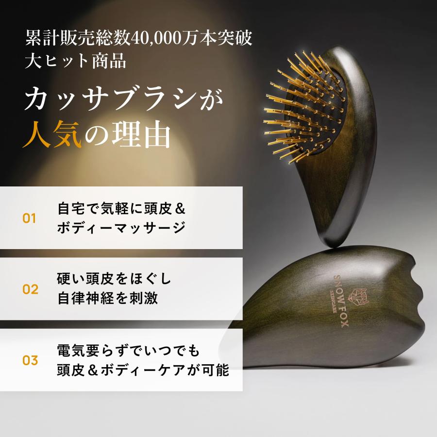 SNOW FOX SKINCARE ヘアブラシかっさ メンズ 美顔器買うより、これだっ