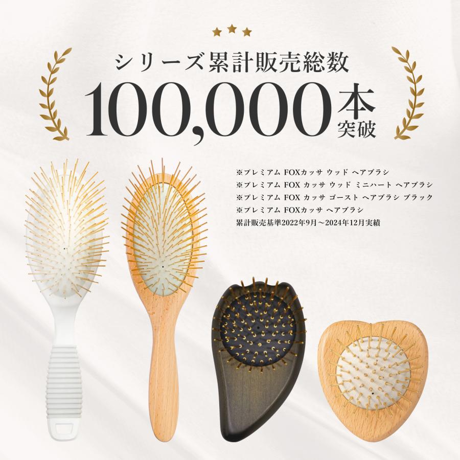 SNOW FOX SKINCARE ヘアブラシかっさ メンズ 美顔器買うより、これだっ