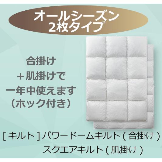 フランスベッド（FRANCEBED） 羽毛布団 オールシーズン 2枚合わせ S