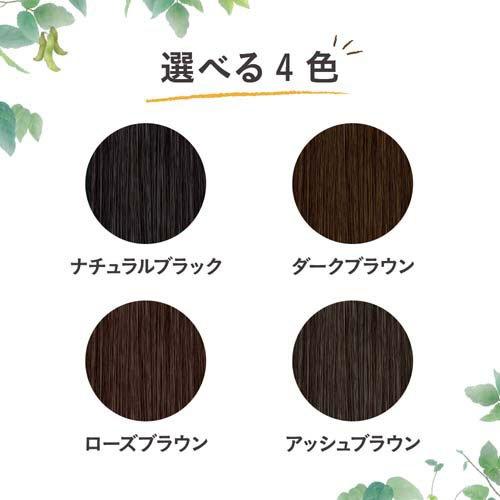 ブローネ ナチュリラ 色長持ちカラートリートメント ダークブラウン