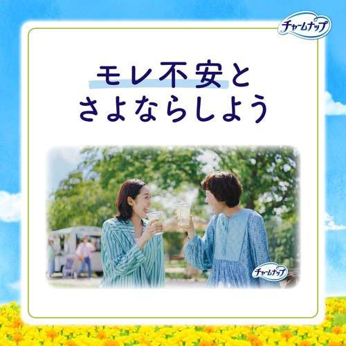 チャームナップ 吸水さらフィ 多くても安心用 羽なし 100cc 29cm ( 14