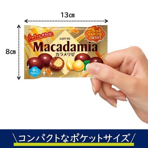 マカダミアチョコレートポップジョイ カラメリゼ ( 34g×10セット