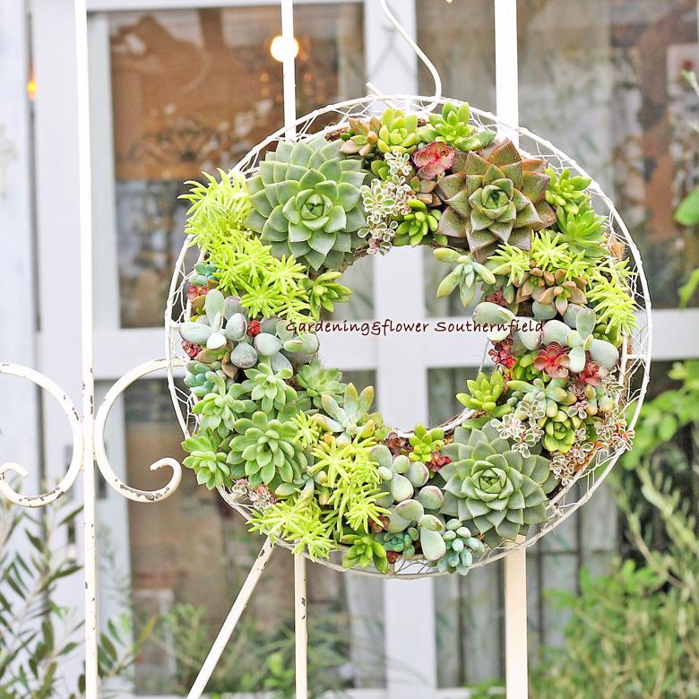 多肉植物寄せ植え おしゃれ ギャザリングリース30cm 開店祝い 誕生日