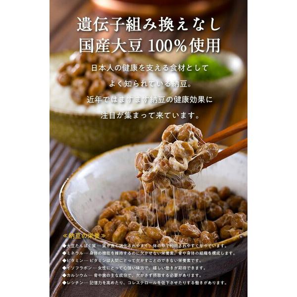 見切り品セール】茨城県産ドライ納豆120g【a】うす塩【b】ピリ辛醤油