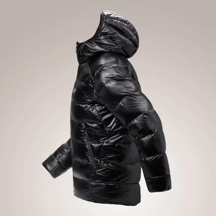 ARC'TERYX（アークテリクス） ダウンジャケット メンズ セリウム SV